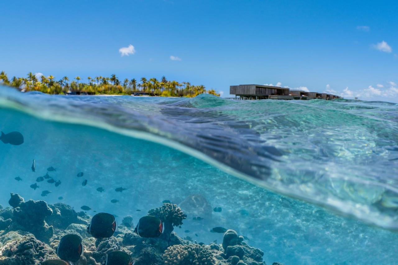 Hotel Patina Maldives, Fari Islands à Gaafaru Extérieur photo